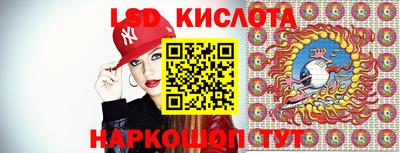 ECSTASY Гай