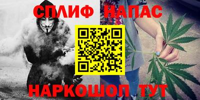 МДПВ Гагарин
