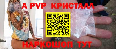 ECSTASY Гай