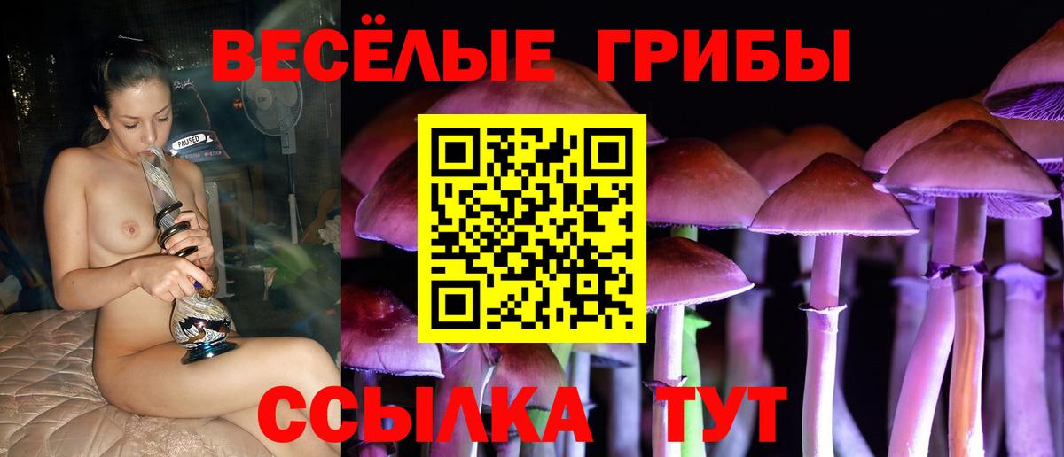 Выборг  Галлюциногенные грибы ЛСД  купить   Вход с VPN 